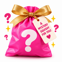 Mystery Squishy